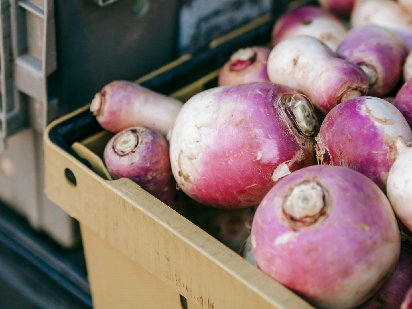 Steckrüben 1kg - Meine Landfreu.de