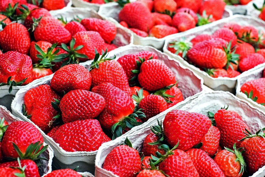 Endlich Erdbeeren 🍓 - Meine Landfreu.de