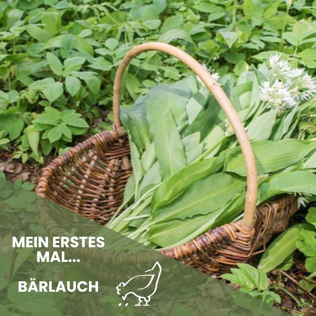 Mein erstes Mal: Bärlauch - Meine Landfreu.de