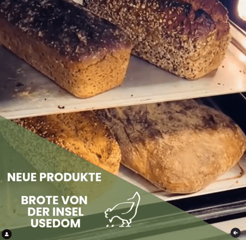 Neue Produkte - Brote von der Insel Usedom - Meine Landfreu.de