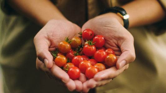 Rezepte: Sommergenuss dank Tomatensaison - Meine Landfreu.de