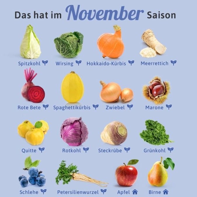 Saisonkalender November - Meine Landfreu.de