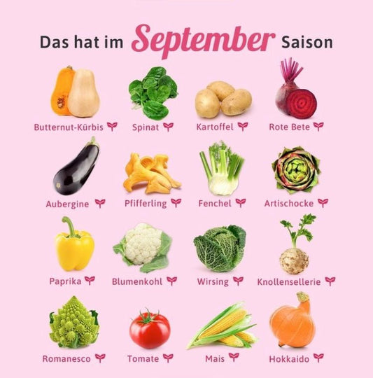 Saisonkalender September - Meine Landfreu.de