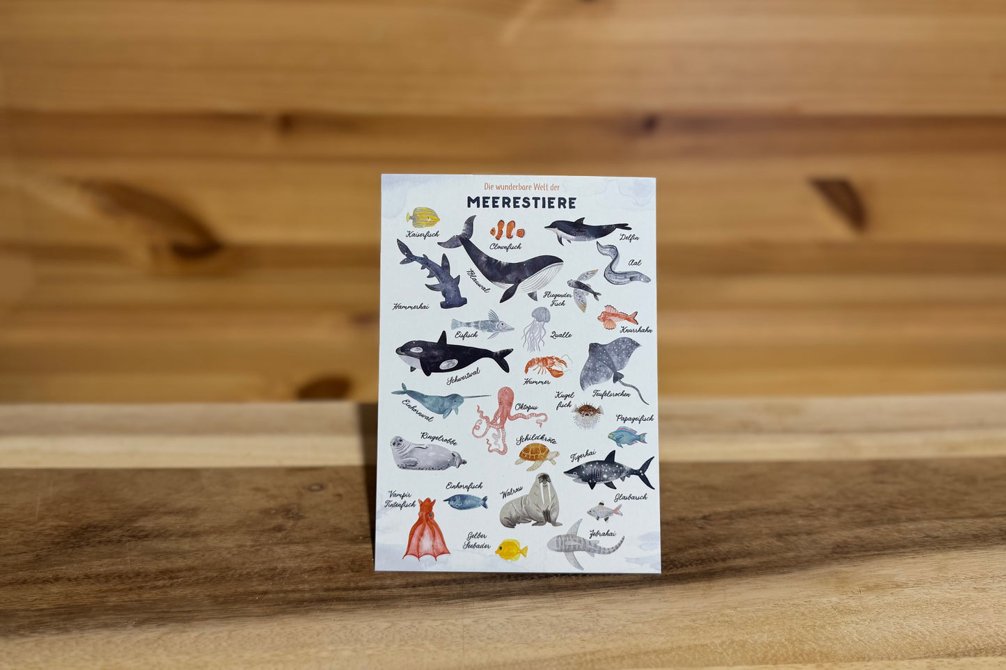 Meerestier Postkarte