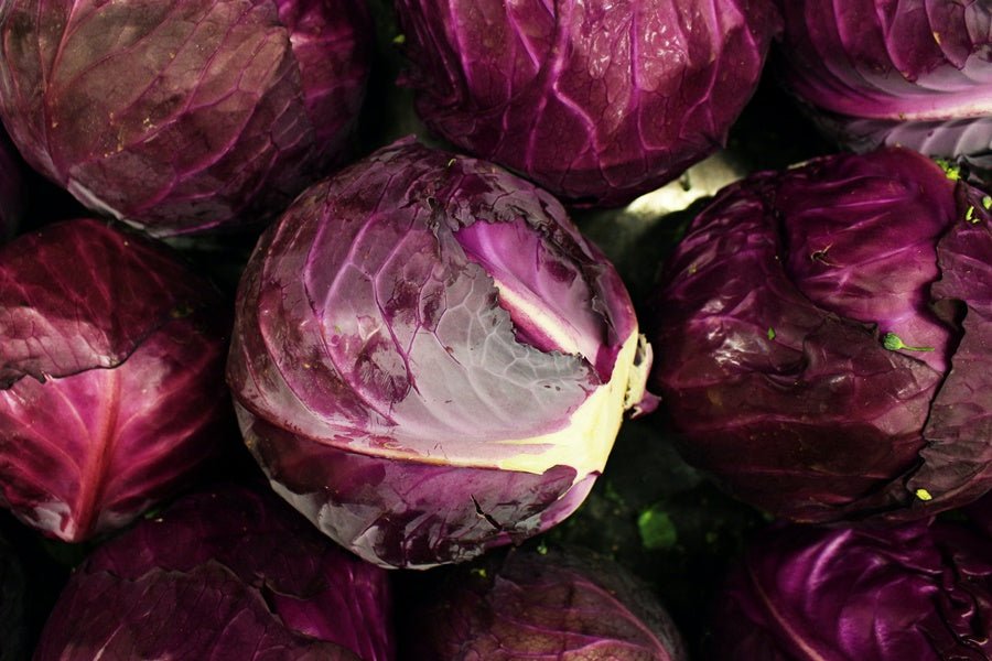 Rotkohl ca. 1,5kg - Meine Landfreu.de